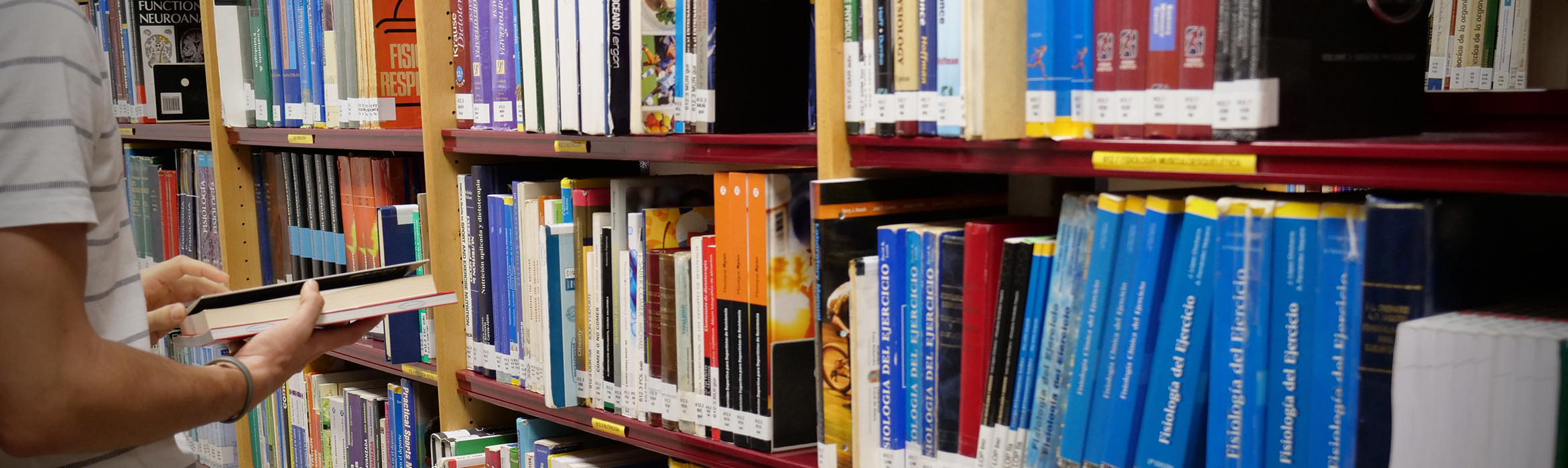 Un estudiante observa un libro frente a una estantería repleta de títulos en la biblioteca de la Facultad de Ciencias del Deporte.
