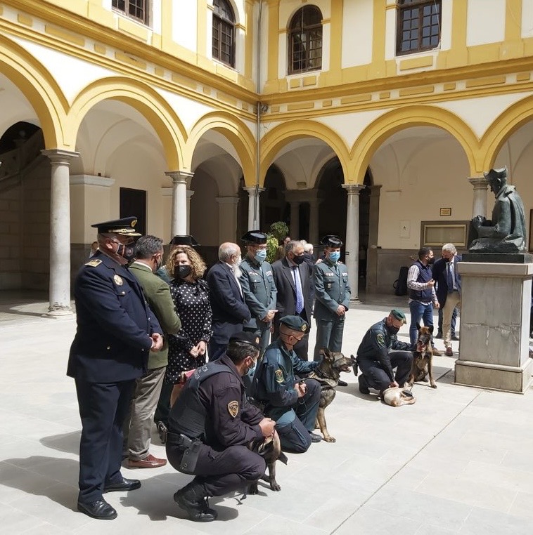 Final del acto de presentación del proyecto con los asistentes posando