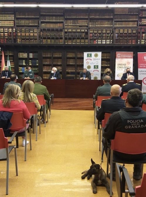 Presentación del proyecto en la sala de conferencias en la Facultad de Derecho