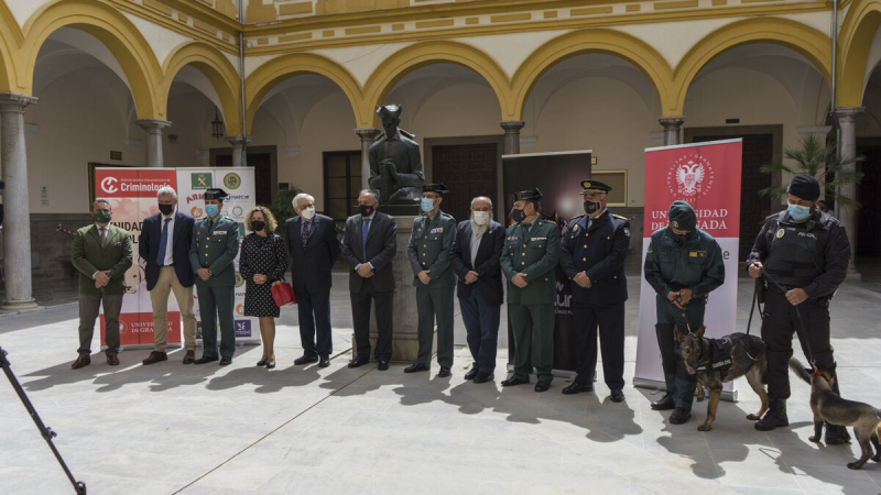 presentación acto