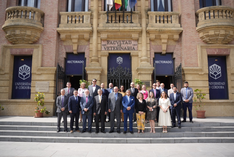 grupo